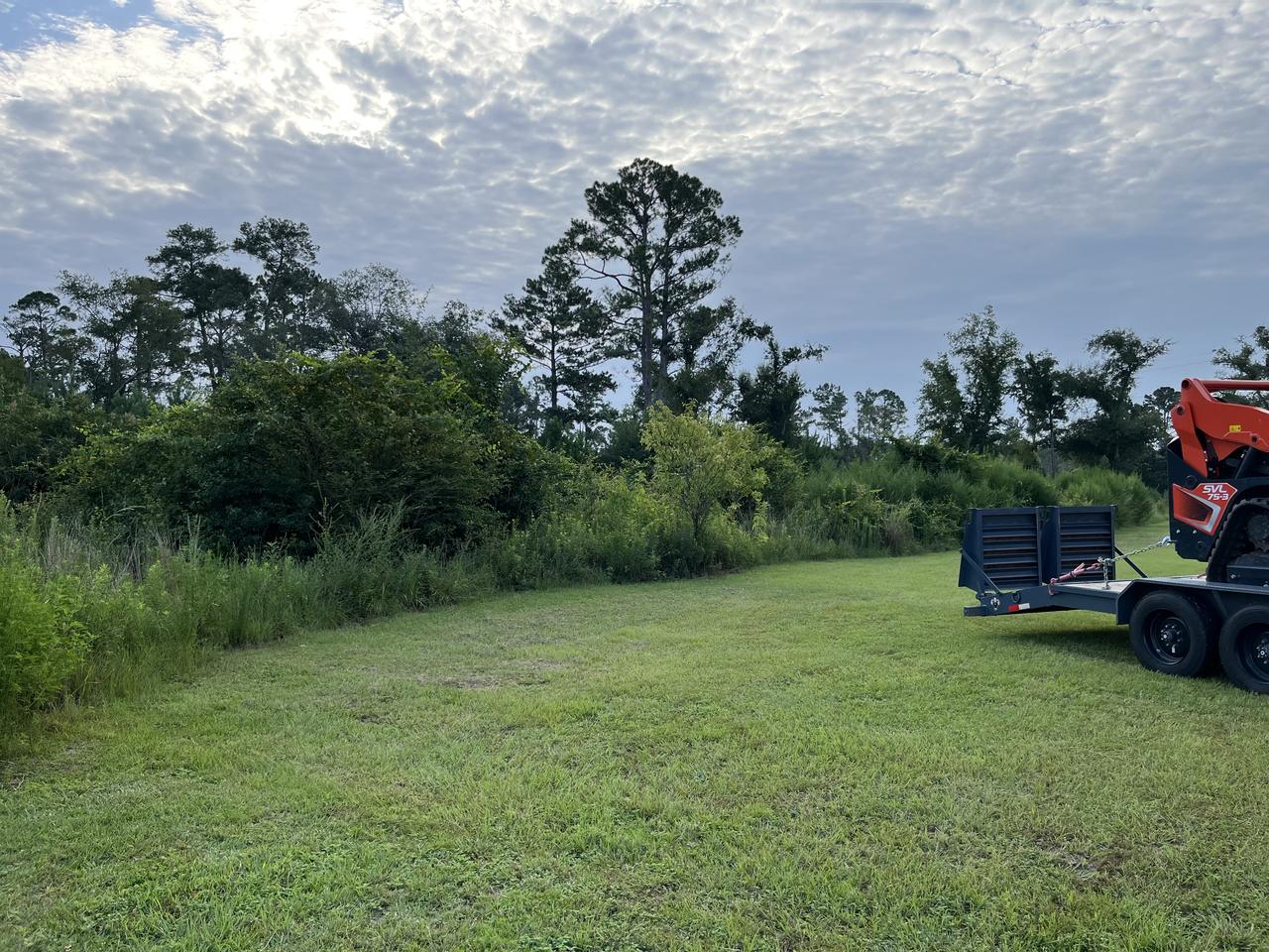 Thick wall of brush and scrub closing in along the edge of a mowed lawn, with a Kubota track loader on a trailer parked at the right