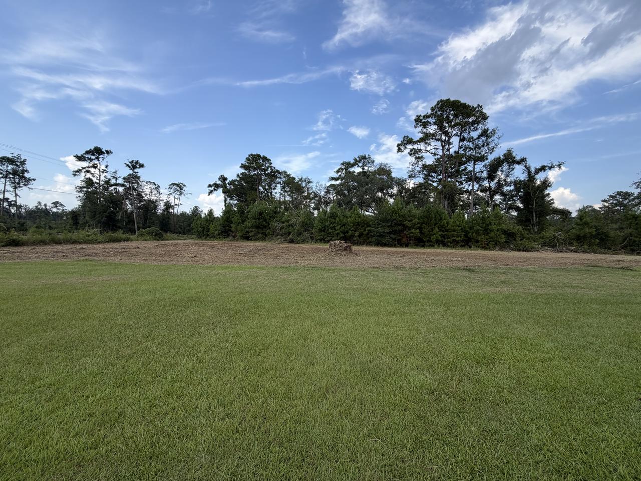 The same view after clearing, the brush line pushed back to a flat mulched strip with standing timber behind it