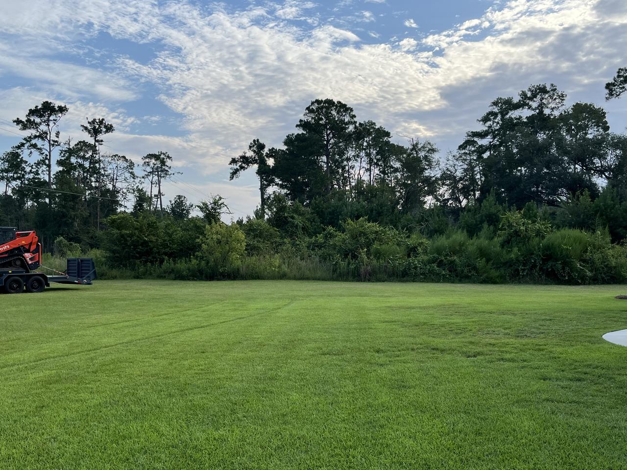 A hedge of overgrown brush running across the back of a mowed lawn before clearing