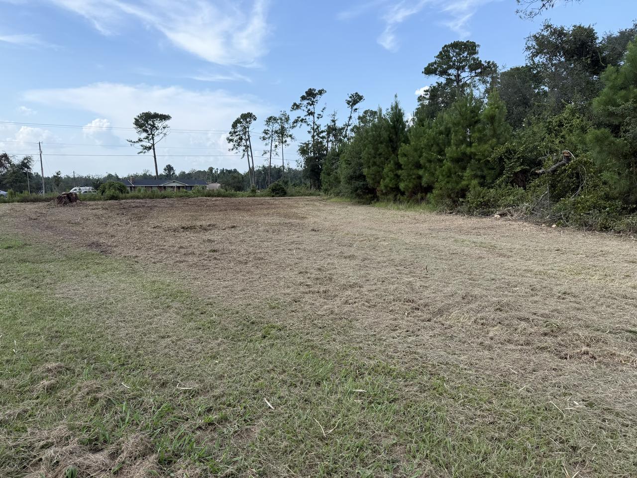 The same strip cleared to open ground covered in mulch, with the neighbouring property now visible across the road