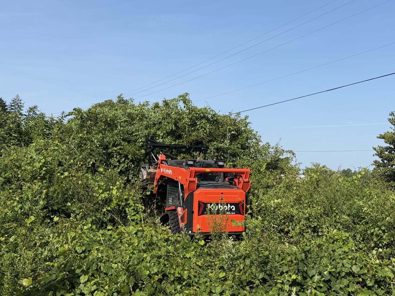 Kubota SVL 75-3 track loader almost buried in a wall of thick green brush, working the mulching head
